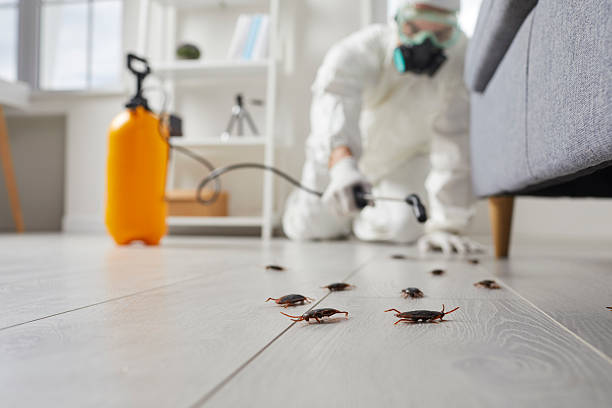 Commercial Kitchen Cockroach Control in Mount Vernon